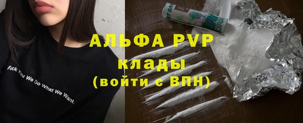 PSILOCYBIN Беломорск