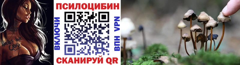 Псилоцибиновые грибы прущие грибы  Купить закладки  Кумертау 